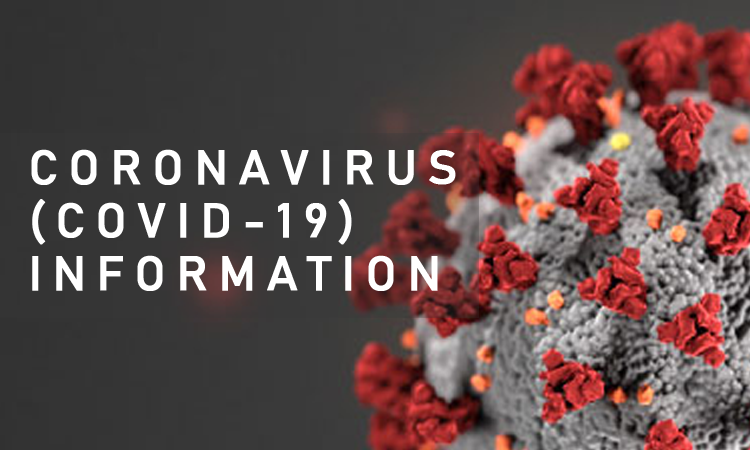 coronavirus update dashboard