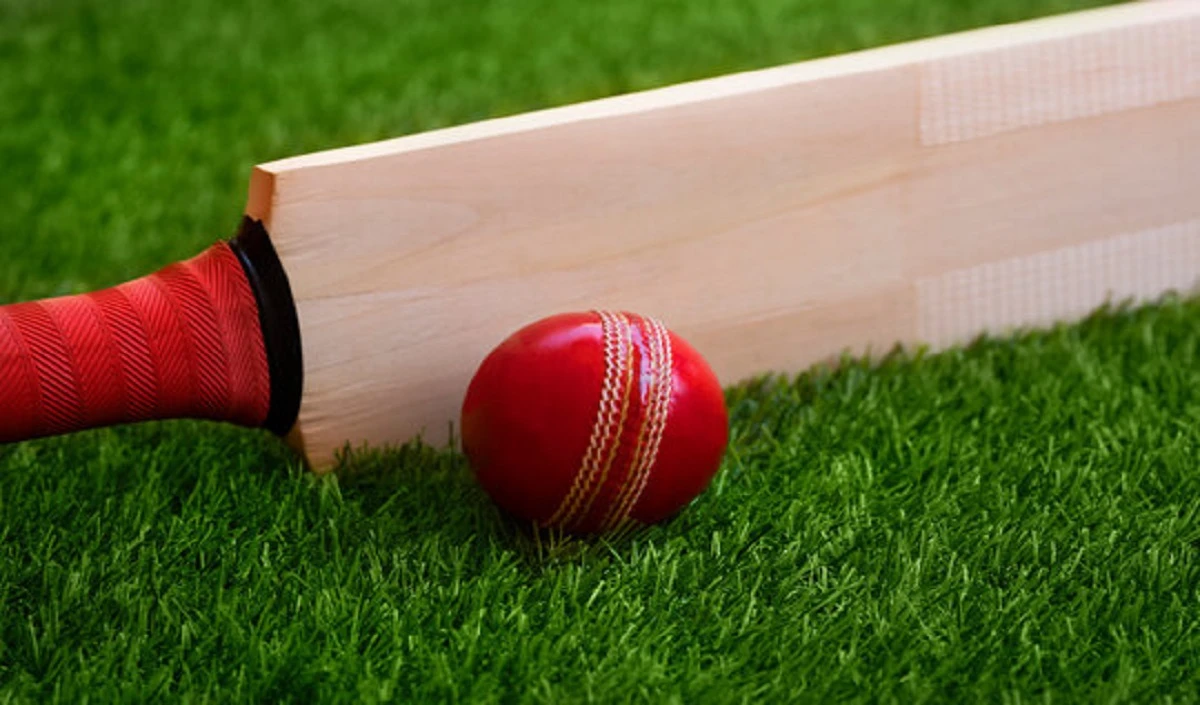 एलिस पैरी का अर्धशतक, भारत को मिला 173 रन का लक्ष्य