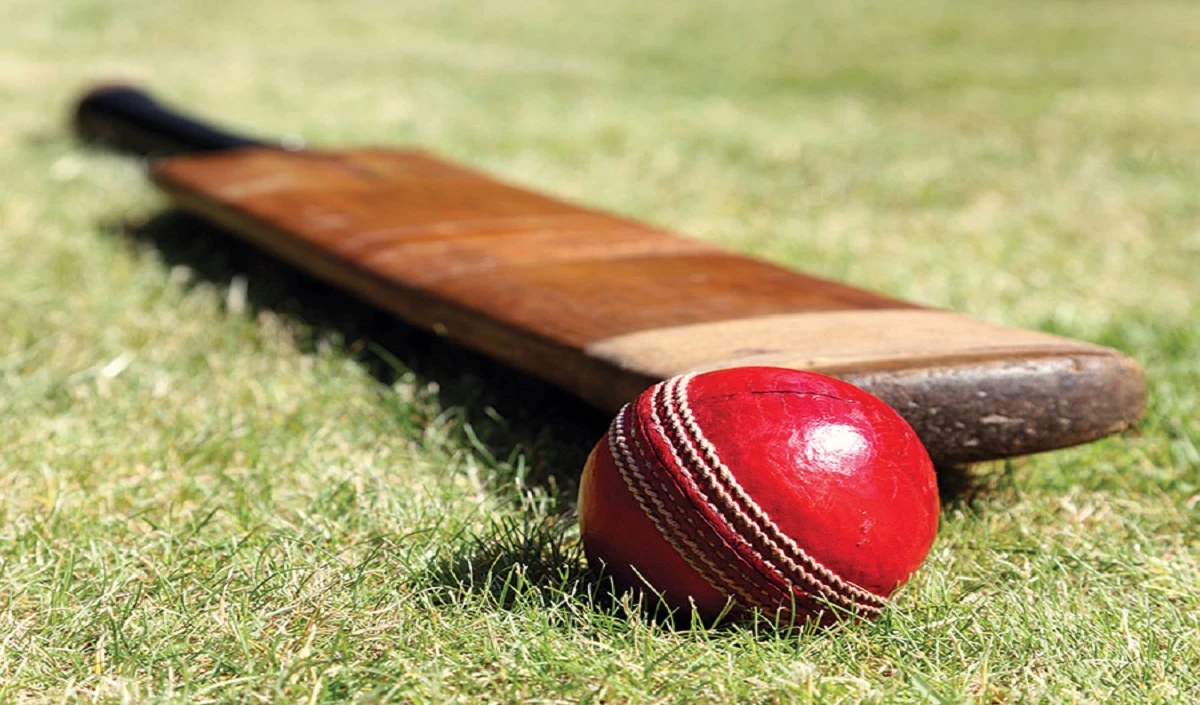 लकड़ी की कमी के बीच कश्मीर में क्रिकेट बैट उद्योग बंद होने के कगार पर