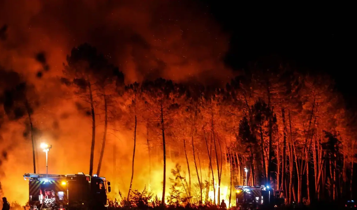 Goa के जंगल में 10 दिन में 71 स्थानों पर आग का पता लगाया गया: मंत्री