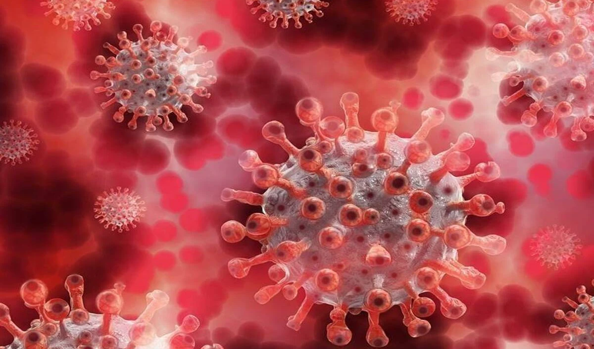 Odisha में दो महीनों में H3N2 इंफ्लूएंजा के 59 मामले सामने आये