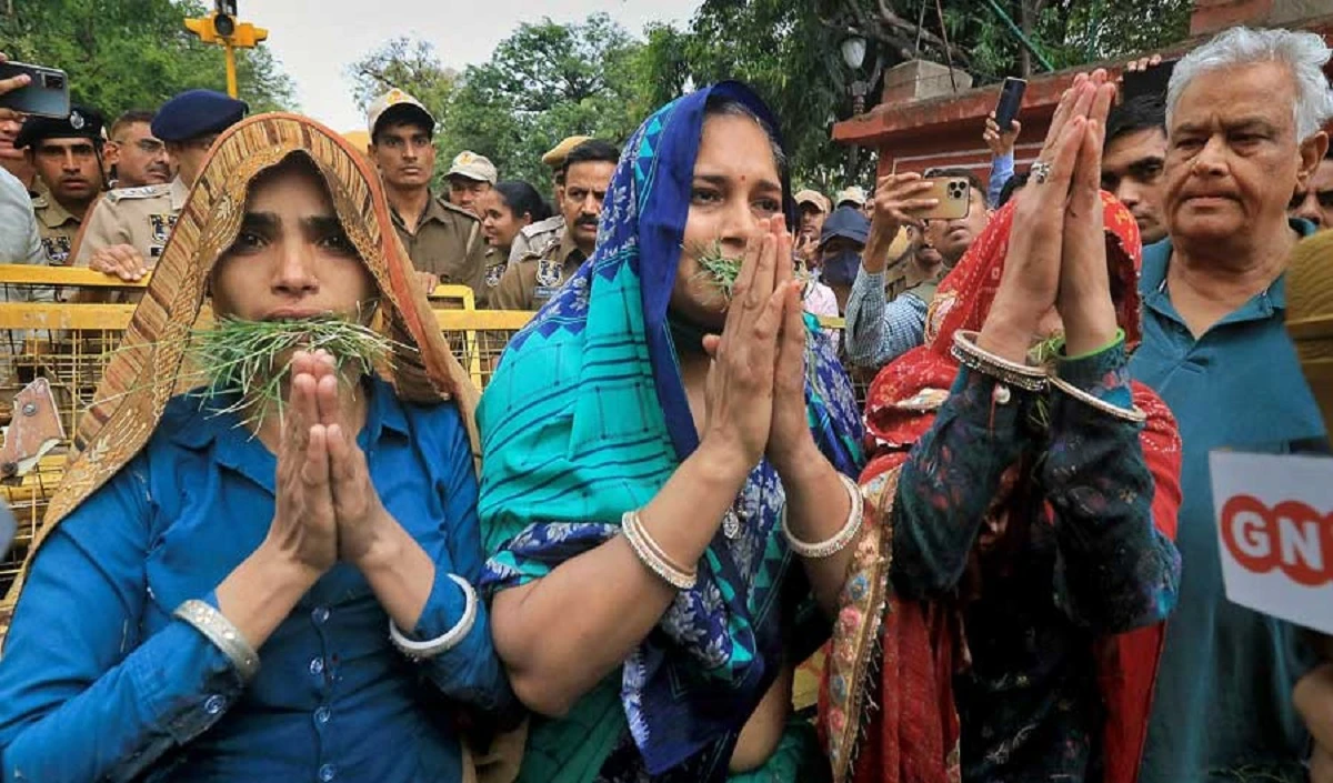 Pulwama के शहीदों की पत्नियों को Jaipur में प्रदर्शन स्थल से हटाकर अस्पताल भेजा गया