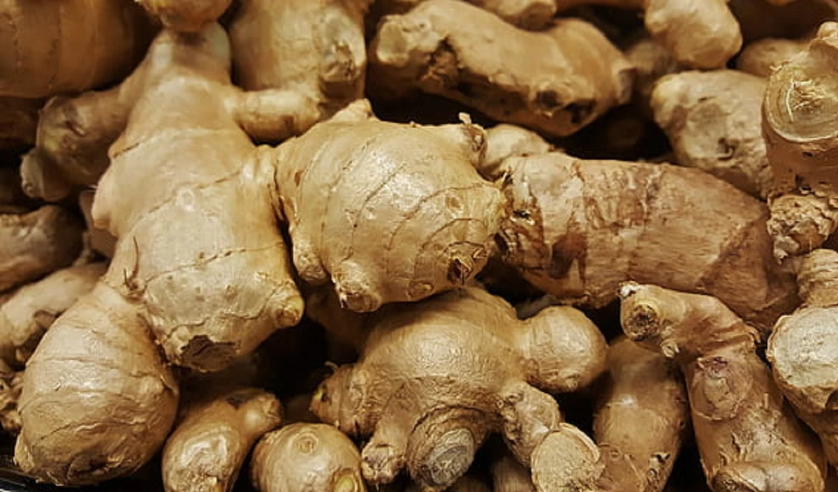 Dry Ginger Benefits: ताजे अदरक से ज्यादा फायदेमंद होता है Dry Ginger, आज से ही शुरू करें इसका सेवन