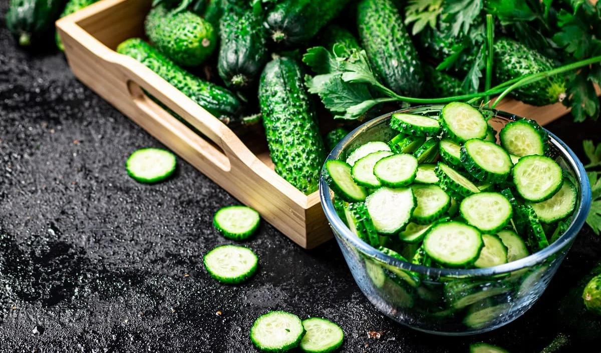 Summer Health Tips । गर्मियों में शरीर को कूल-कूल रखेगा Cucumber, इसके अलावा मिलेंगे ये जबरदस्त फायदे