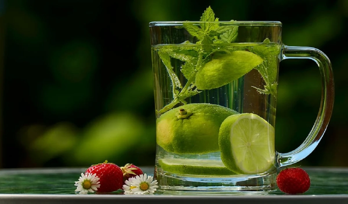 Weight Lose Drinks: बढ़ते वजन से हैं परेशान तो गर्मी में पिएं Detox Water, कैलोरी और फैट हो जाएगा छूमंतर