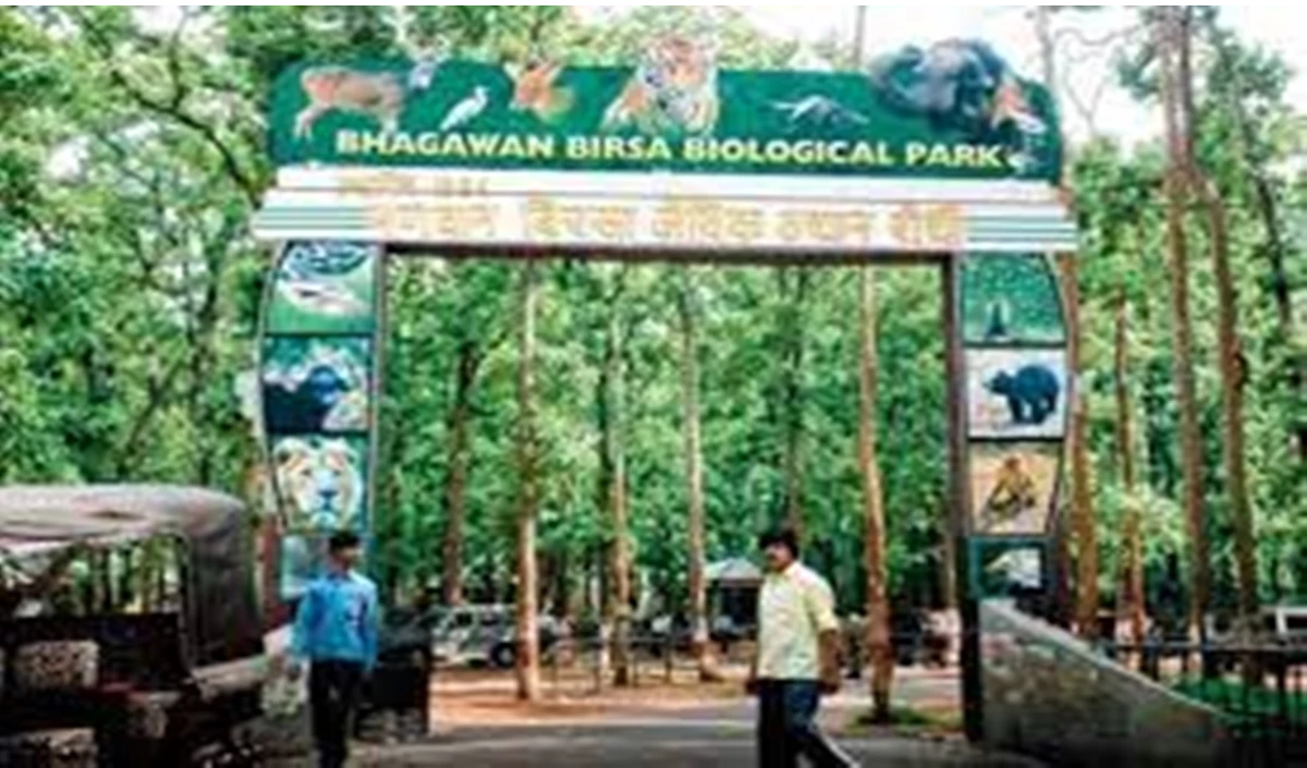 बिरसा चिड़ियाघर में ‘खुला तितली उद्यान’ जल्द ही जनता के लिए खोला जाएगा : अधिकारी