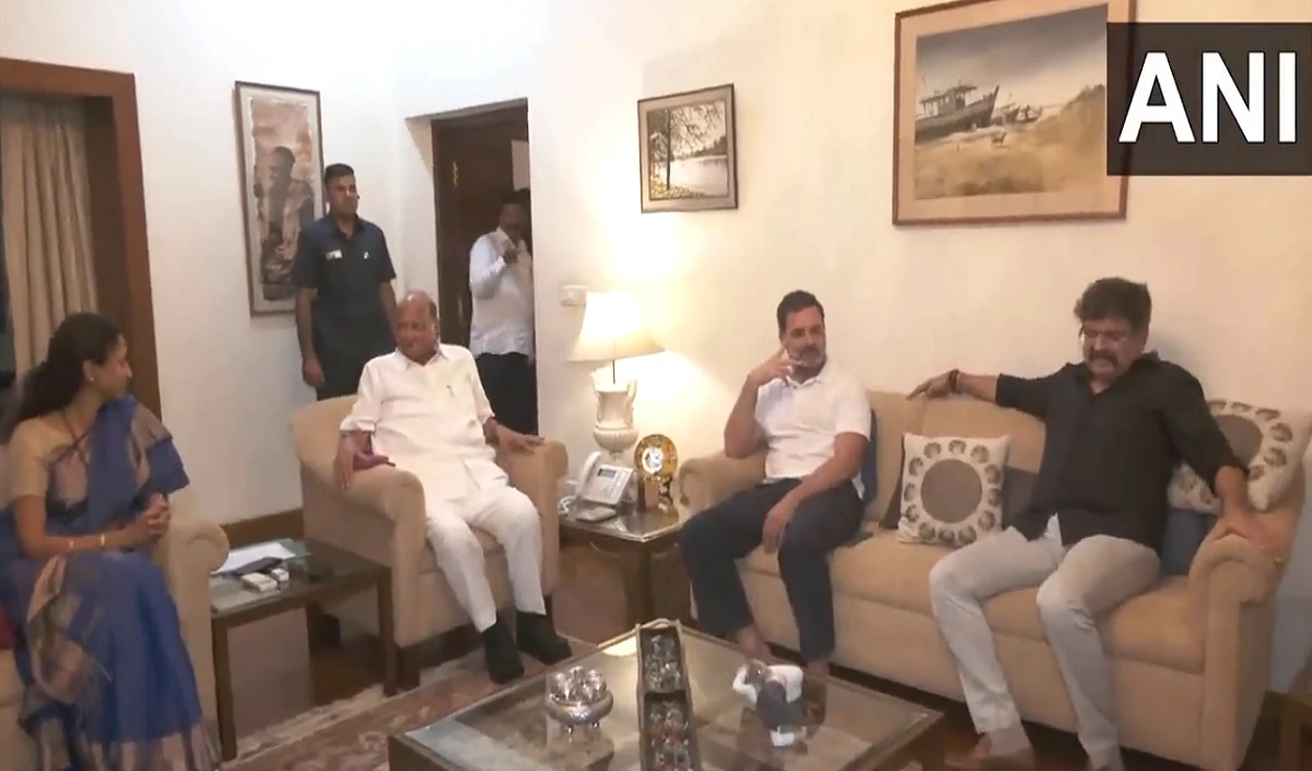 NCP में फूट के बीच शरद पवार से मिले राहुल गांधी, जानें दोनों नेताओं के बीच क्या हुई बात