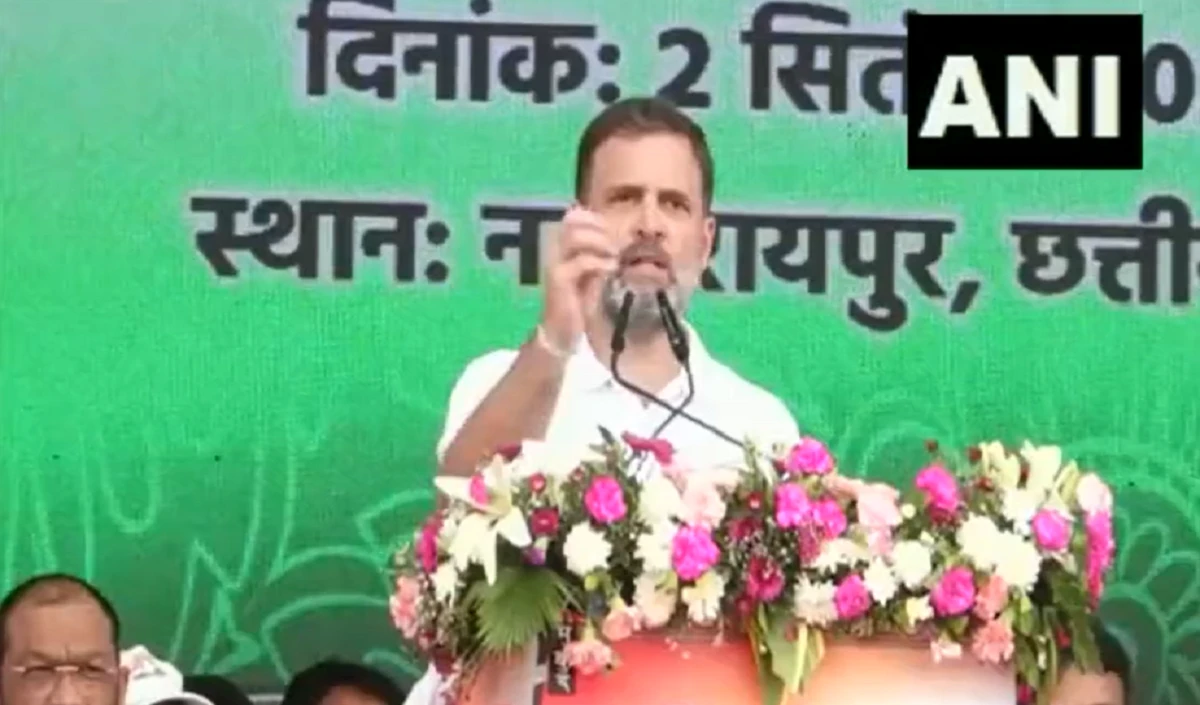 ‘दो-तीन अरबपतियों के लिए काम करते हैं BJP और मोदी’, राहुल बोले- अडानी पर कोई जांच नहीं करा सकते PM