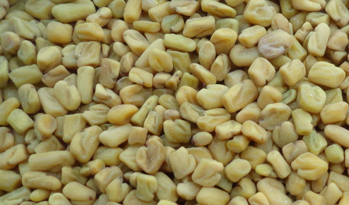 Fenugreek Seeds: इन तरीकों से डाइट में शामिल करें मेथीदाना, मक्खन की तरह पिघलेगी चर्बी