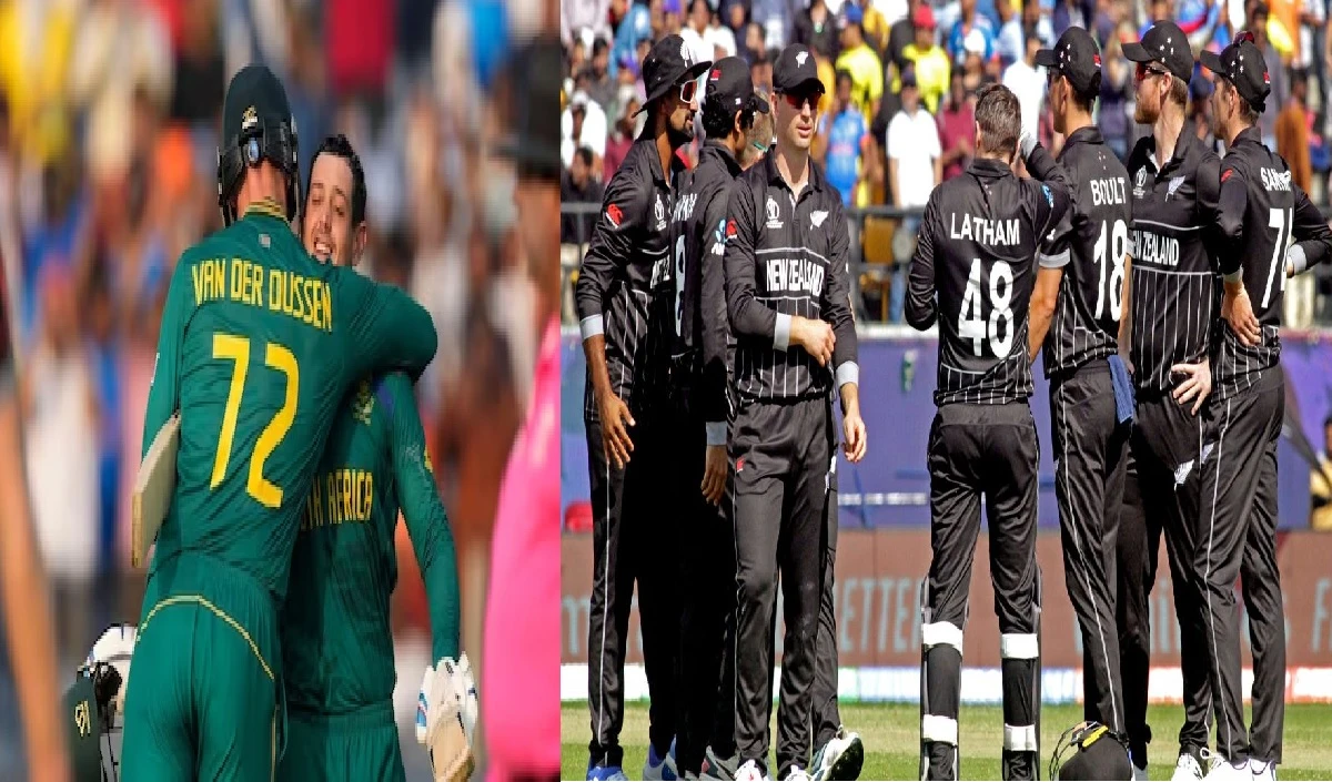 SA vs NZ: दक्षिण अफ्रीका ने दिया कीवी टीम को 358 रन का टारगेट,  डिकॉक और डुसेन की शतकीय पारी