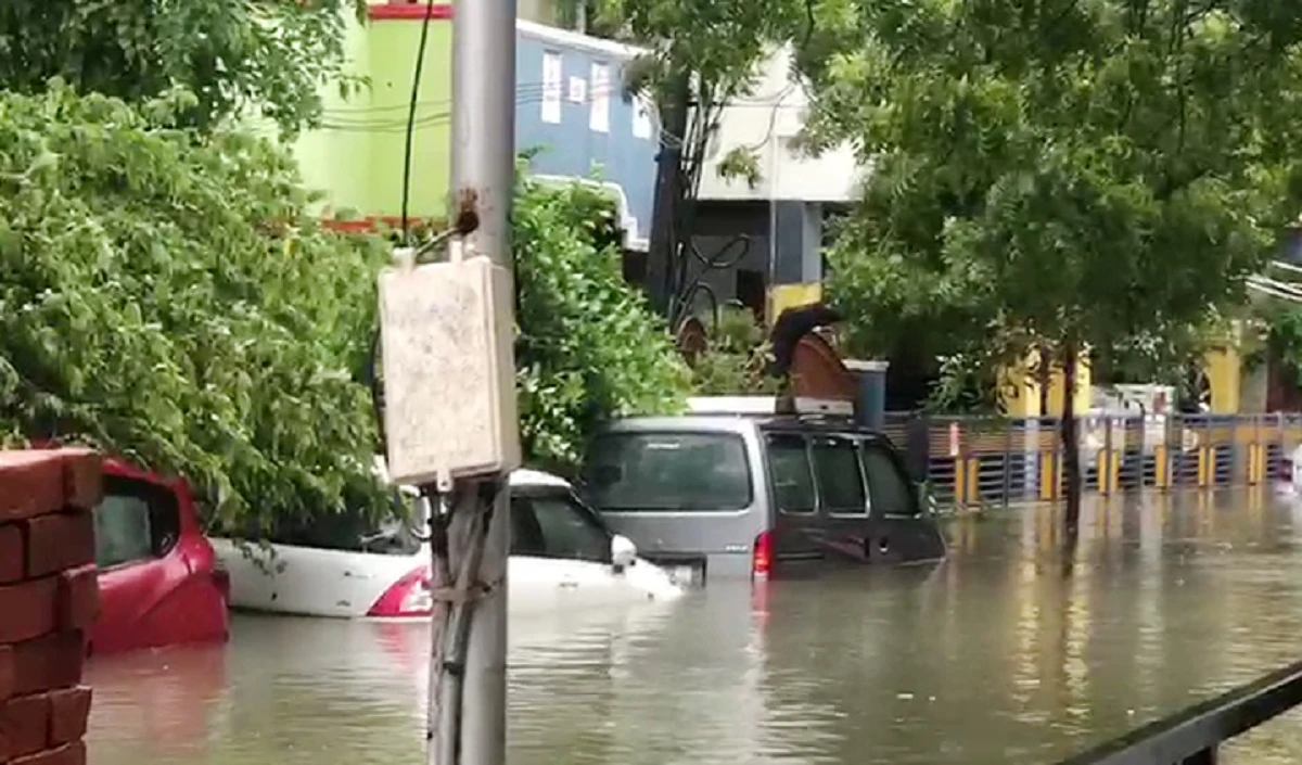 Cyclone Michaung: आंध्र प्रदेश के बापटला तट से टकराया चक्रवाती तूफान, लैंडफॉल के बाद मूसलाधार बारिश, 12 की मौत