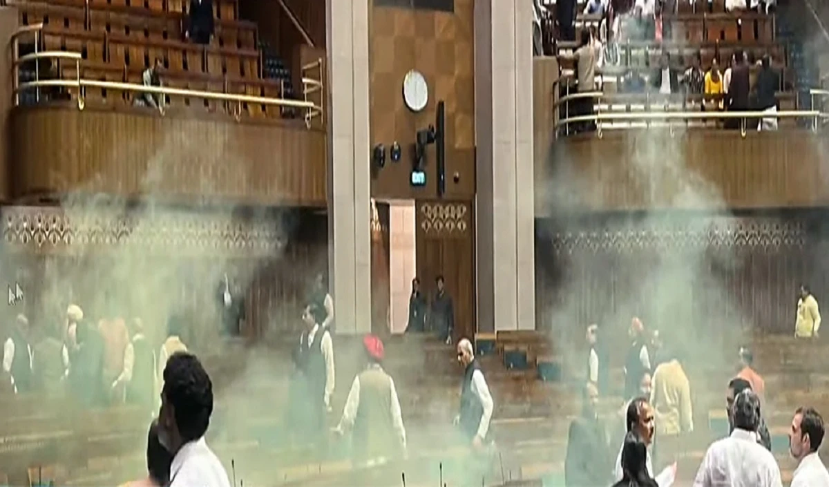 Parliament Security Breach: मणिपुर मुद्दे पर नारे, जूते के सोल में स्मोक बम…FIR में हुआ बड़ा खुलासा
