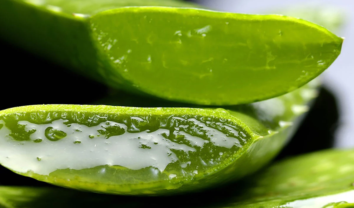 Side Effects of Aloe Vera Juice: इन लोगों को नहीं करना चाहिए एलोवेरा जूस का सेवन