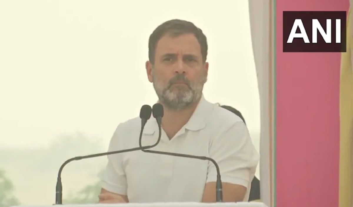 ‘उच्च शिक्षण संस्थानों में आरक्षण को खत्म करने की हो रही साजिश’, Rahul Gandhi बोले- ऐसा होने नहीं देंगे