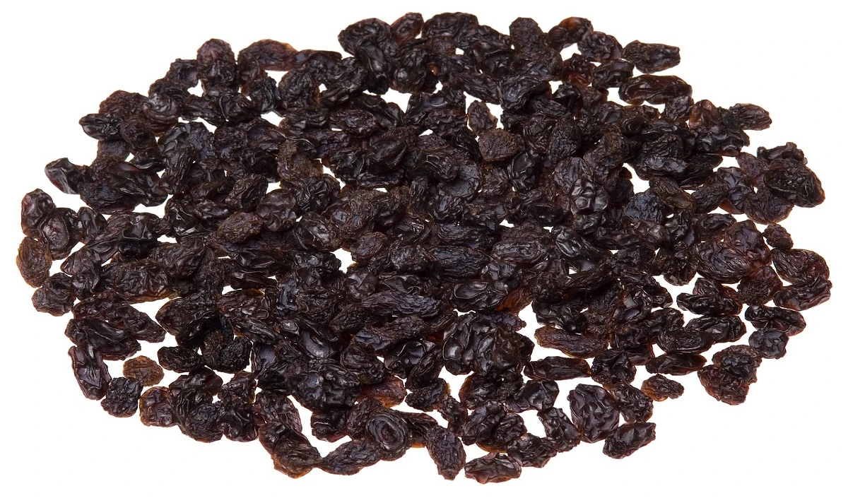 Black Raisins: काली किशमिश खाने के जबरदस्त फायदे, एनीमिया से बचाए