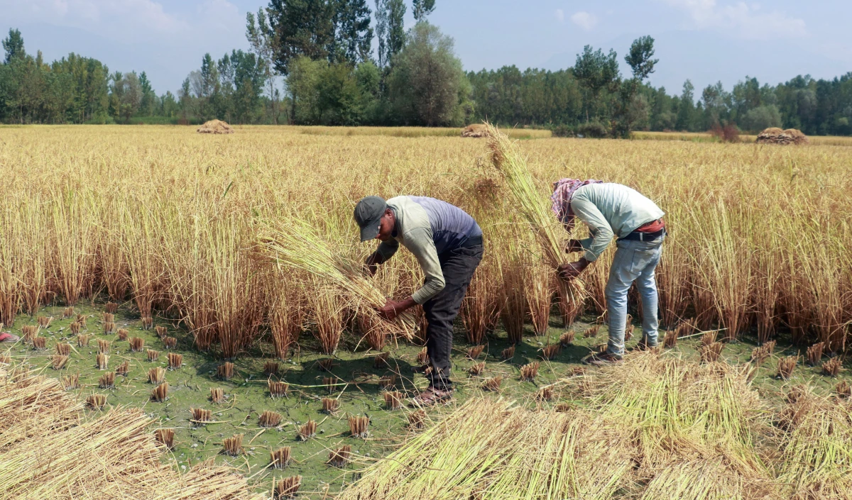 Uttar Pradesh के 18 मंडलों के किसान कर सकेंगे आवेदन, 27 से छह-छह मंडलों के किसानों को करना होगा ऑनलाइन आवेदन