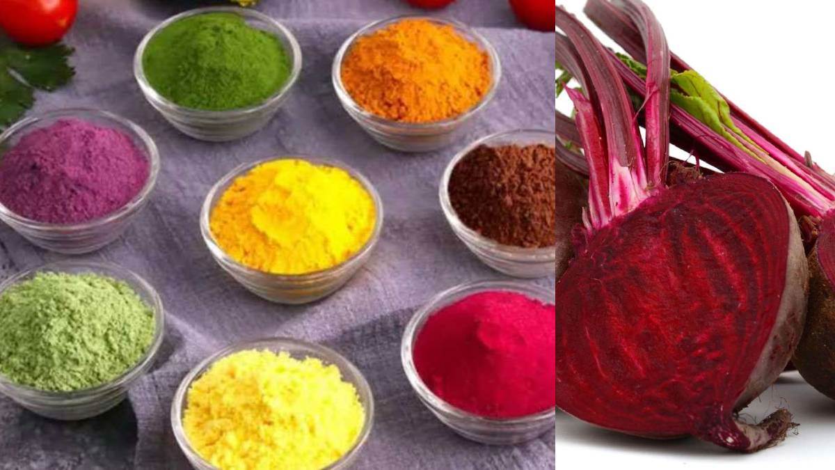 Holi 2024: इस बार प्राकृतिक रंगों से खेलें होली, हर्बल गुलाल से रखें त्वचा का ख्याल; इन चीजों का होता है इस्तेमाल