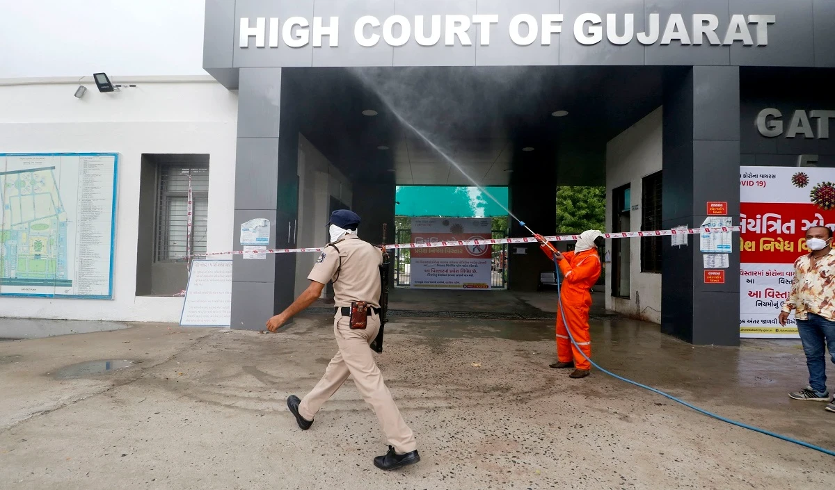 Gujarat High Court तीन शेरों की मौत पर रेलवे और वन विभाग के कामकाज की जांच करेगा