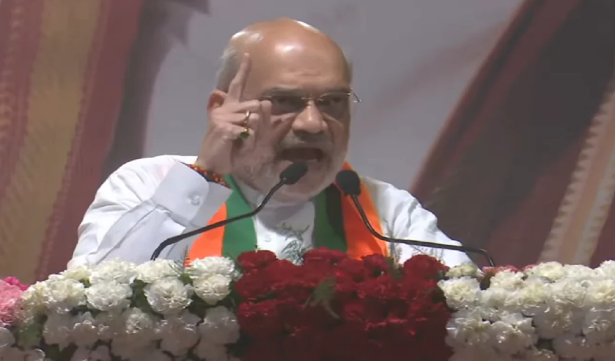 ‘केजरीवाल जैसा यू-टर्न लेने वाला आदमी नहीं देखा’, Delhi में बोले Amit Shah, भारत से ज्यादा राहुल के पाकिस्तान में समर्थक