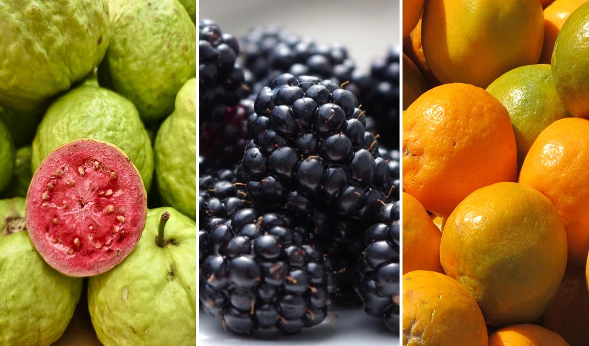 Fruits for Weight Loss: तेजी से घटाना है वजन तो डाइट में शामिल करें ये हाई प्रोटीन फल