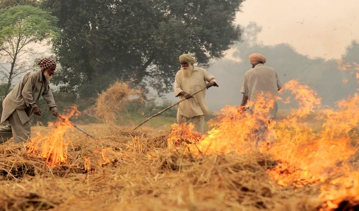 Punjab सरकार ने पराली जलाने पर रोक के लिए 500 करोड़ रुपये की कार्य योजना बनाई