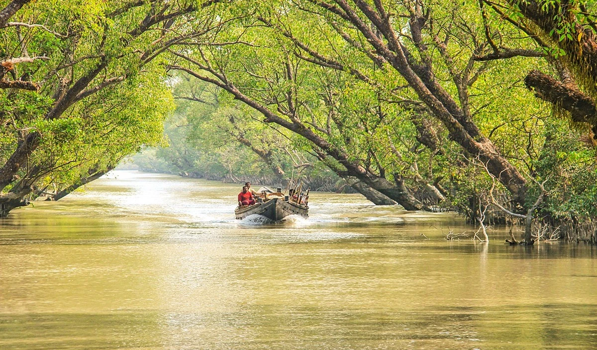 Travel Tips: नेचर लवर के लिए बेस्ट जगह है पश्चिम बंगाल का सुंदरबन, ऐसे प्लान करें ट्रिप