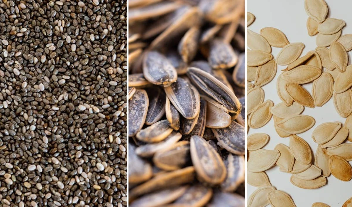 Best Seeds For Constipation Relief: कब्ज की शिकायत होने पर खाएं ये सीड्स, मिलेगी राहत