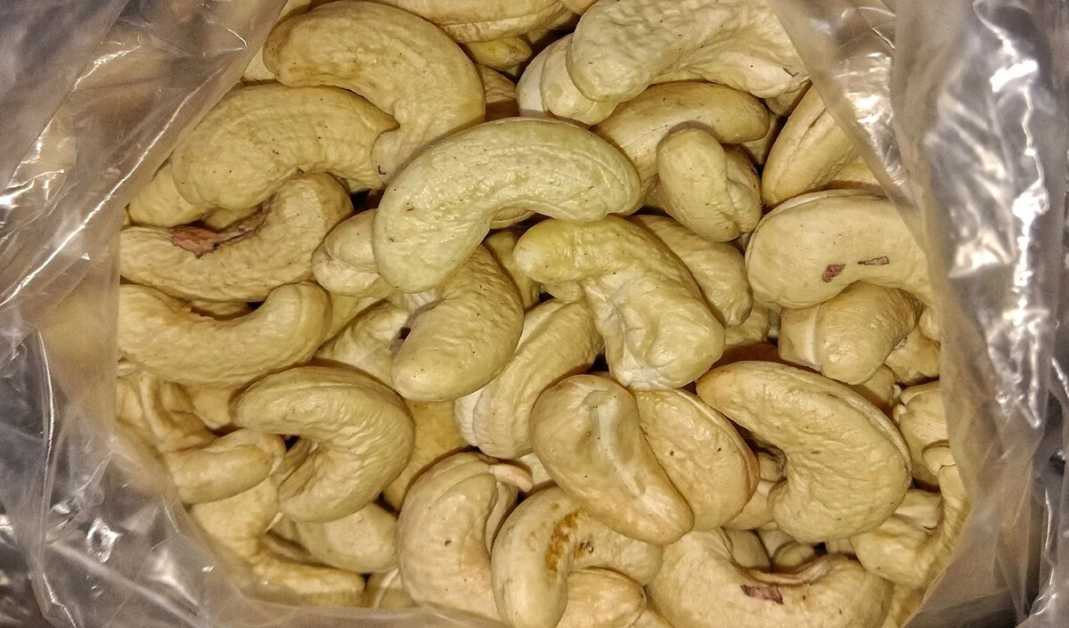 Pine Nuts Benefits: डायबिटीज और वेट लॉस के लिए रामबाण हैं सफेद मेवा, जानिए कैसे करें सेवन