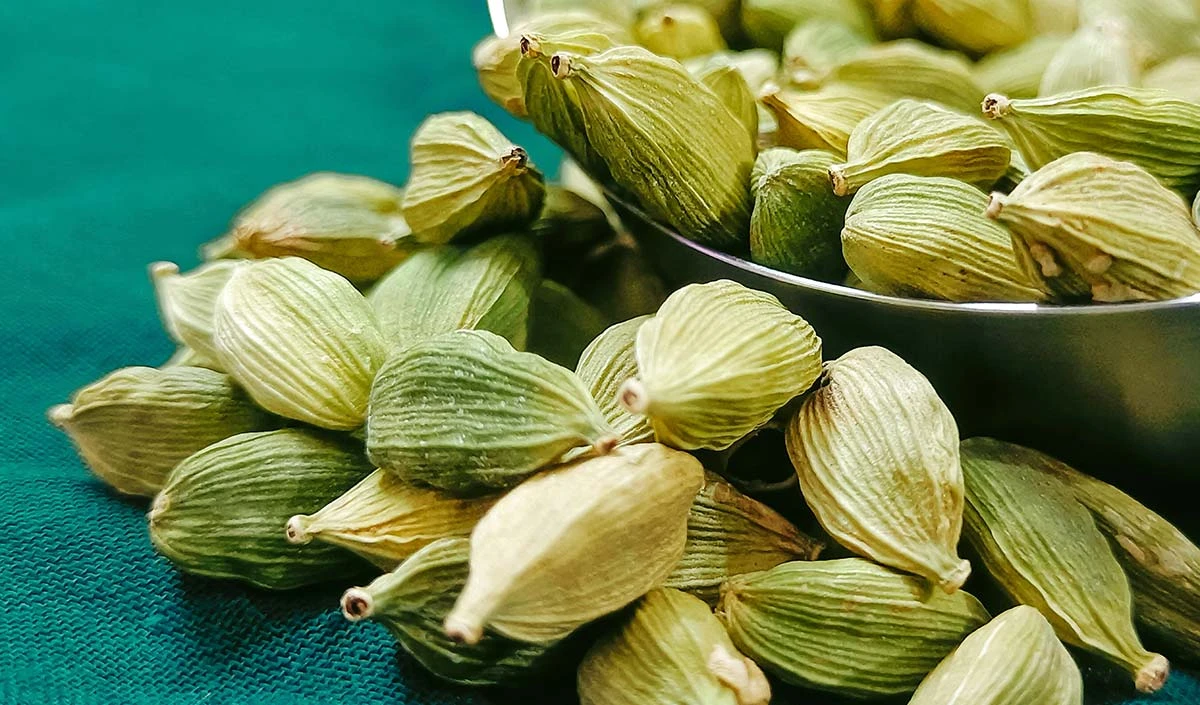 Cardamom Benefits For Oral Health: ओरल हेल्थ का ख्याल रखती है इलायची, जानिए कैसे