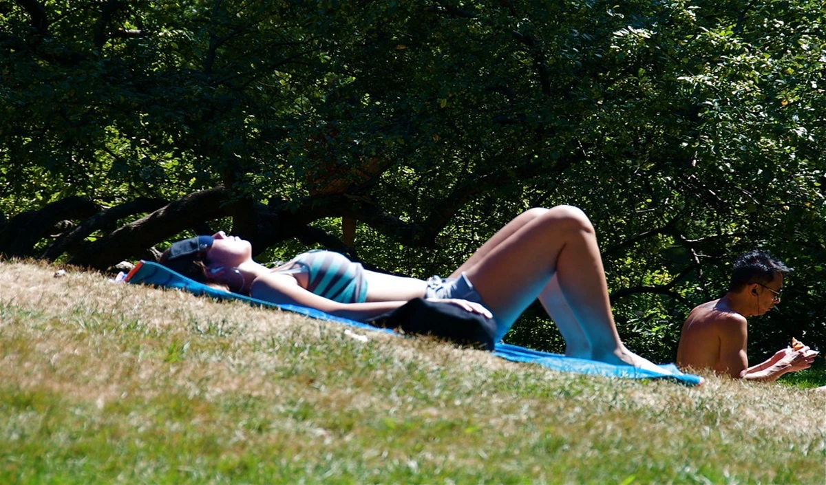 Sunbathing in Winter: सर्दियों में धूप सेंकने से चंद मिनट में हो जाएंगे तरोताजा, शरीर को मिलेंगे कई फायदे