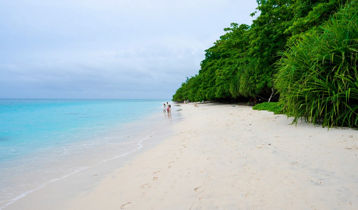 हाड़ कापने वाली सर्दी से बचने के लिए इन Beaches पर घूम आएं, गर्मी का होगा एहसास, प्लान करें बजट में ट्रिप