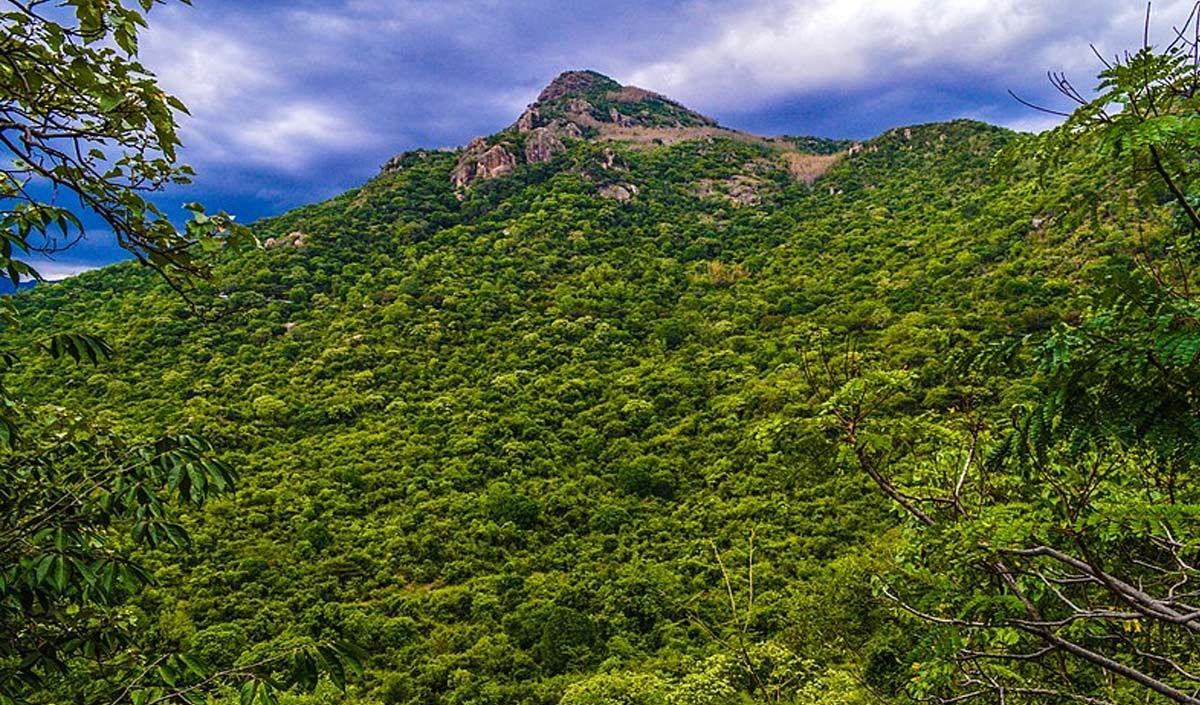 Yercaud Tourist Places: दक्षिण भारत का एक प्रमुख पर्वतीय स्थल है येरकौड