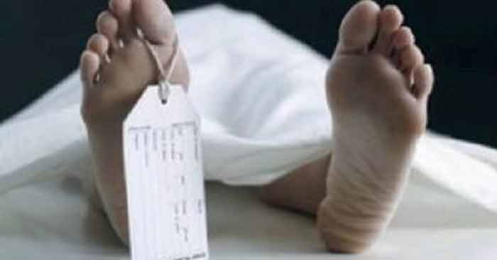 Ballia News: ताड़ के पेड़ पर चढ़े युवक की गिरने से मौत