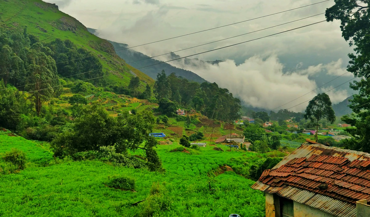 IRCTC का शानदार Ooty Tour Package, अब Budget में घूम सकेंगे ‘पहाड़ों की रानी’, जानें पूरा खर्च