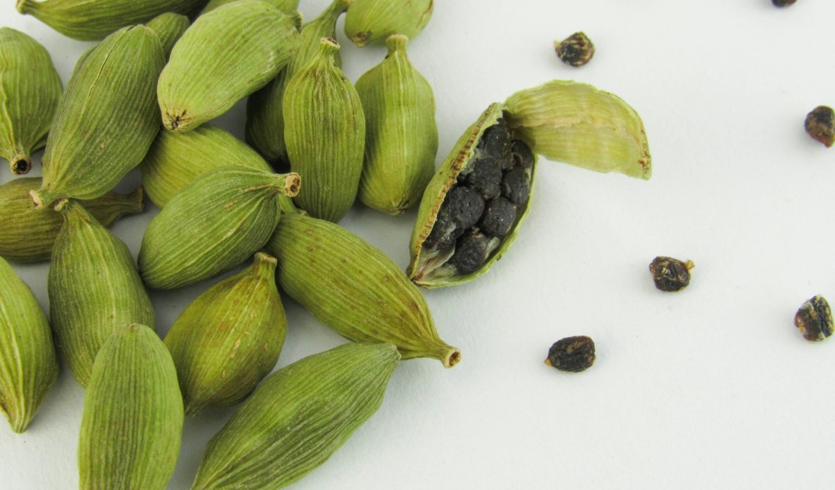 सुबह खाली पेट हरी Elaichi चबाने से सुधरेगा Digestion, गैस और भारीपन से मिलेगी राहत